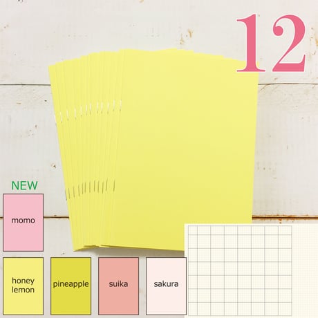 大人の時間割帳（１か月）単色12冊セット（ピンク～イエロー）2,800円
