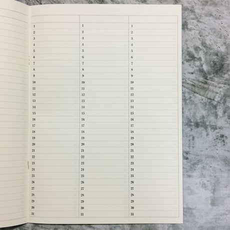 A4サイズ　５年ひとこと日記　ブルーグレー　１冊　1,000円