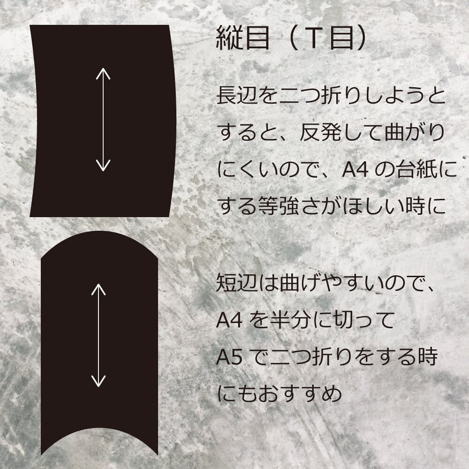 5fbcdcf48a45721a3fbd13a5