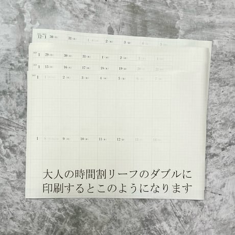 大人の時間割ダブルリーフの日付データ　2025年分　300円