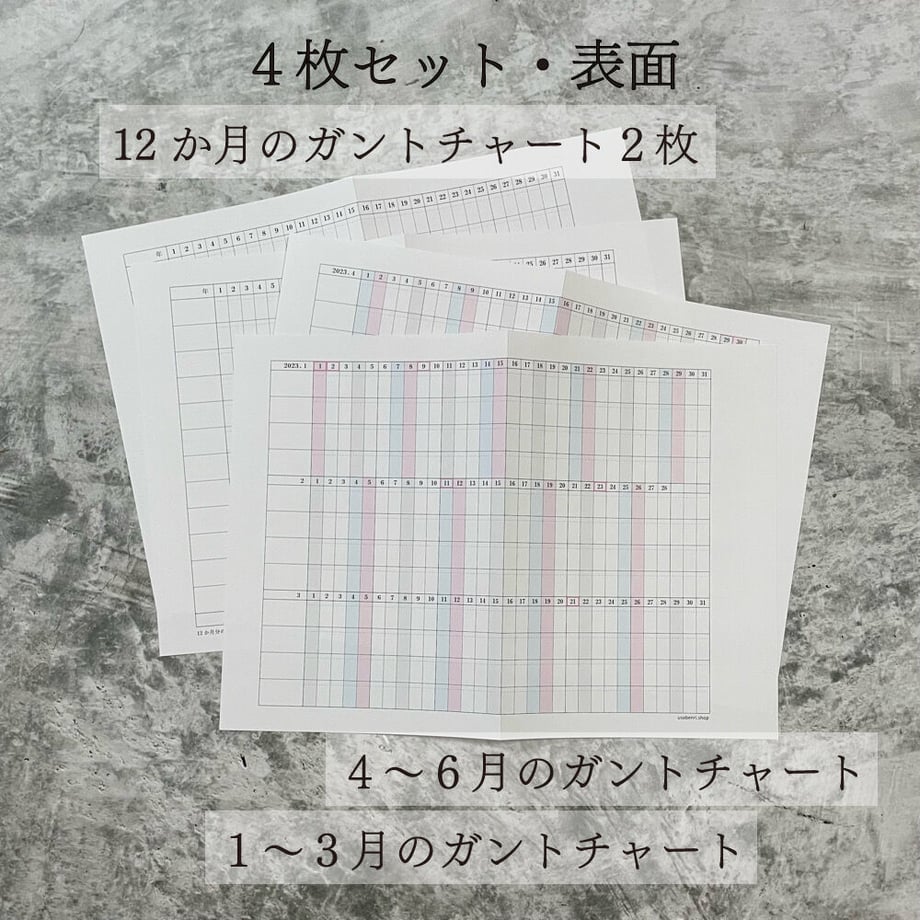 62f9c4df97c2456e79d54123