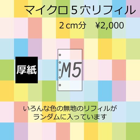 20時～【厚紙】マイクロ5穴　リフィル福袋　2cm分　2,000円
