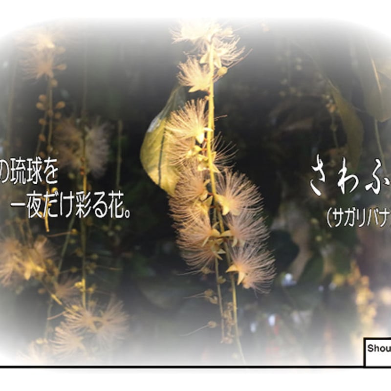 沖縄伝統さん専用 沖縄の伝統工芸品：琉球紅型の型紙デザインから生まれた「語れる