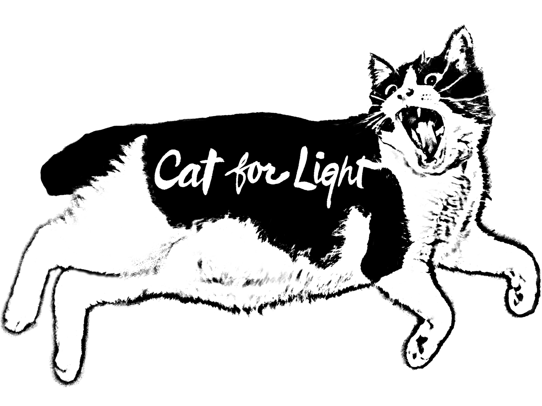 ABOUT | Cat for Light