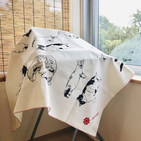 【茂右衛門コラボ】FUROSHIKI