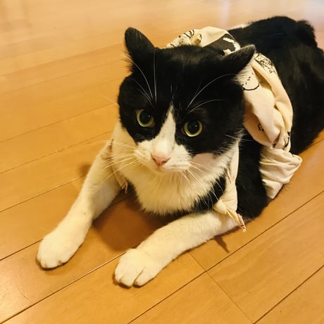 【茂右衛門コラボ】FUROSHIKI