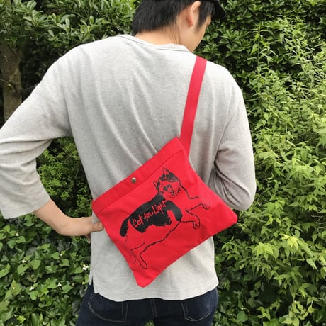 【１点ものオリジナルボディ】Special Sacosh