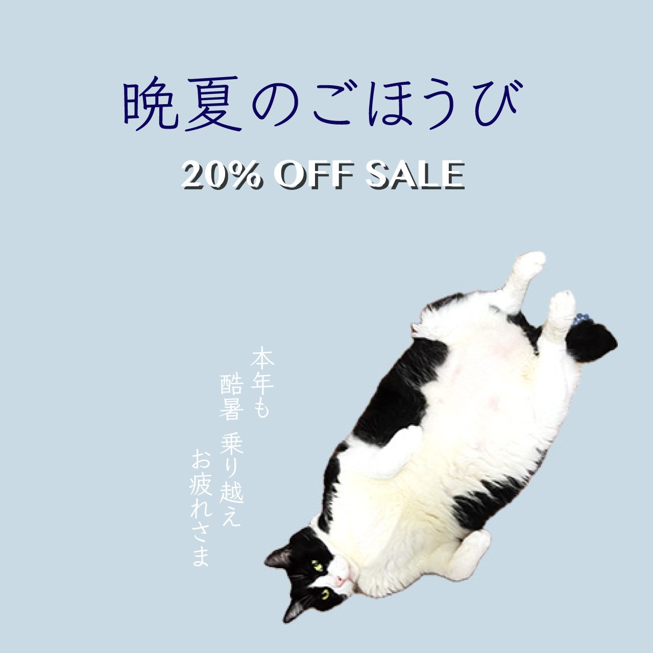 新品 猫 着物 正絹 トール 仕付け糸付“幸せな寝顔でゴロン”付下げ 4274 2003885801.jpg