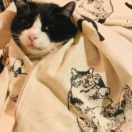 【茂右衛門コラボ】FUROSHIKI