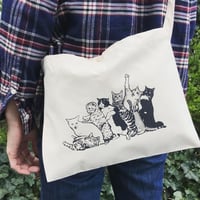 【CATNESS】Sacosh