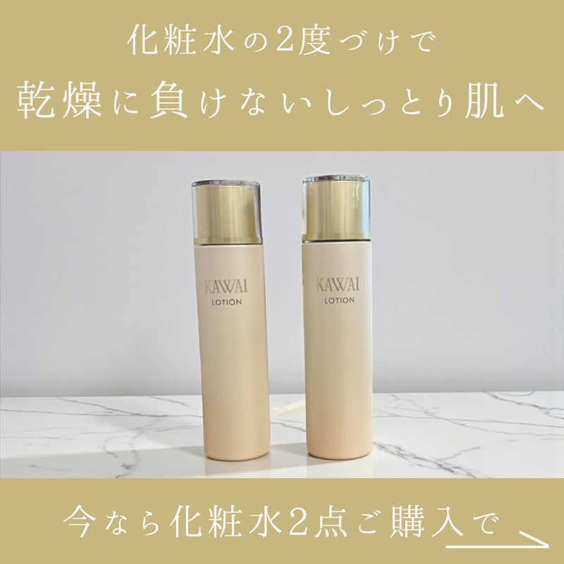 12/31(水)まで！】ベーシック化粧水 120ml 2点セット+アイブロウ