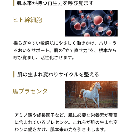 ミレアンジュ・トータルセルフセラム / エイジングケア美容液 ゆらぎ肌に使える処方 コラーゲン・プラセンタ・セラミド・ヒト幹細胞培養液配合
