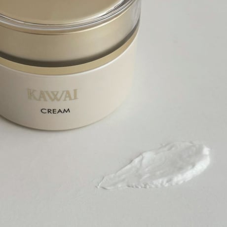 ベーシッククリーム   48g