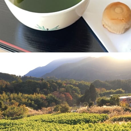 【一時販売停止中】とうげんの力　【濃い桑の葉茶 1.8g×30包】1袋