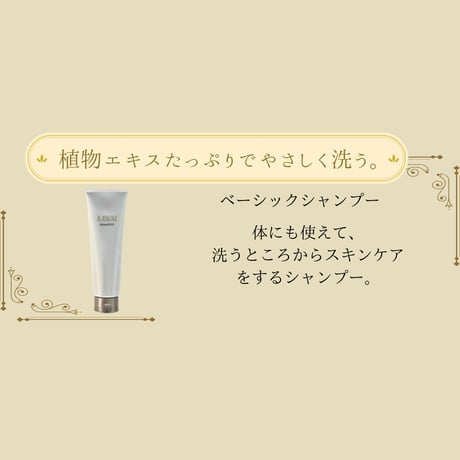 ベーシックシャンプー   250g
