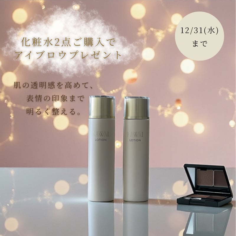12/31(水)まで！】ベーシック化粧水 120ml 2点セット+アイブロウ