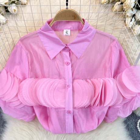 see-through blouse