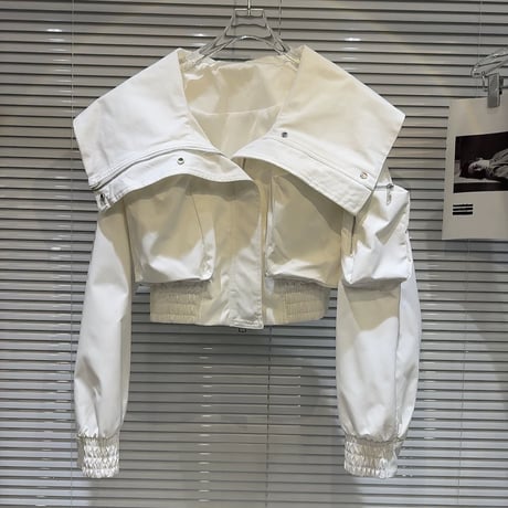 big collar jacket