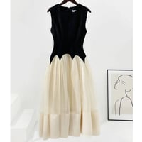 bi-color tulle onepiece
