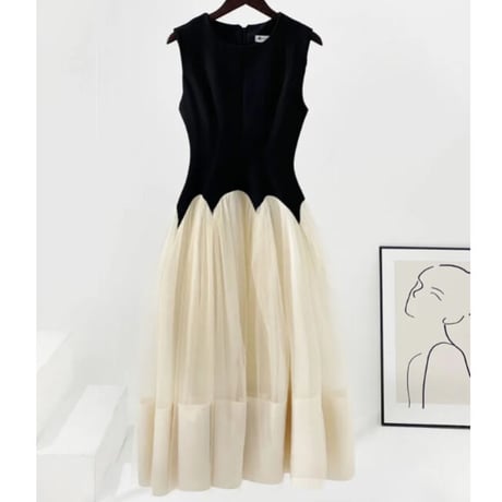 bi-color tulle onepiece