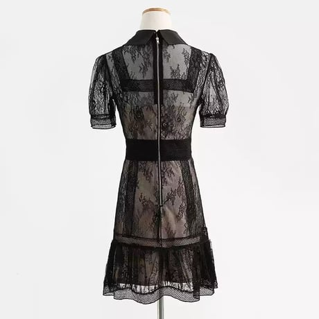 see-through lace mini onepiece