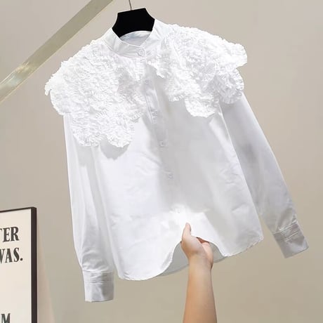 big collar blouse