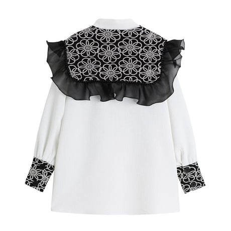 big collar blouse