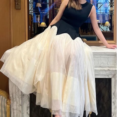 bi-color tulle onepiece
