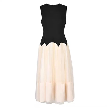 bi-color tulle onepiece