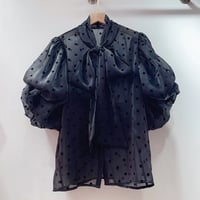 see-through dot blouse