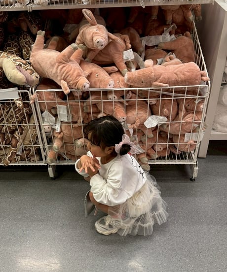 tulle tutu