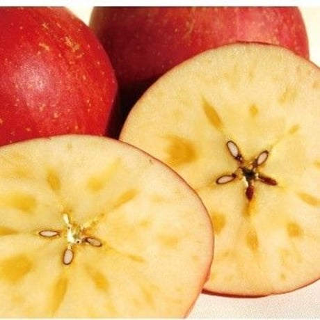 果実職人の極上りんご　9~10玉　3kg