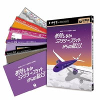 着陸しないミステリーフライトからの脱出（制作：ナゾグラ）