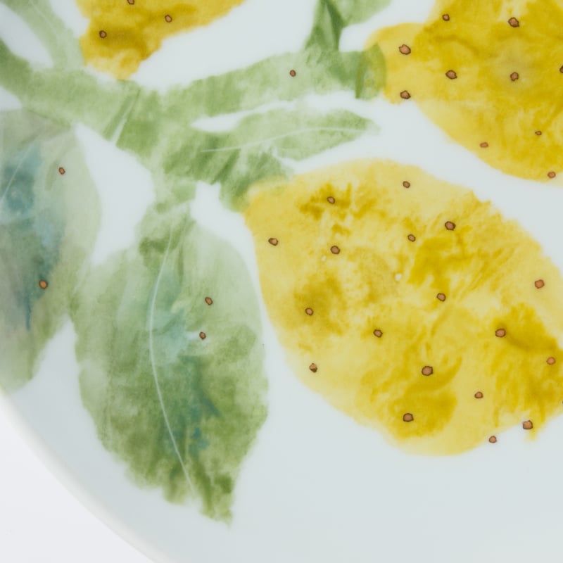 大東アリン プレート 大東アリン プレート 大東アリン プレート 砥部焼｜東窯