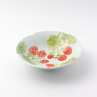 ワイルドストロベリー/花小鉢