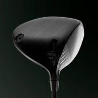 LA DRIVER 12°（FaceID: 13-12）ヘッドスピード：39m/s 以下向き