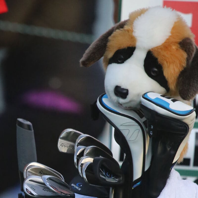 R.マキロイ使用・USGA適合の打てる柔らかスイング練習器】Gフォース 7