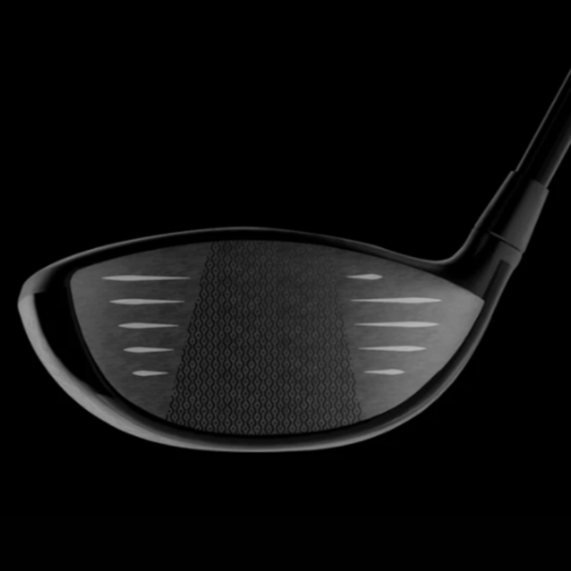 LA DRIVER 9.5°（FaceID: 10-10）ヘッドスピード：49-55m/s向き
