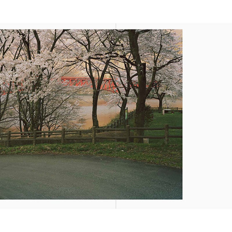 サイン本 柴田敏雄 待望の新刊 TOSHIO SHIBATA JAPAN | gallery