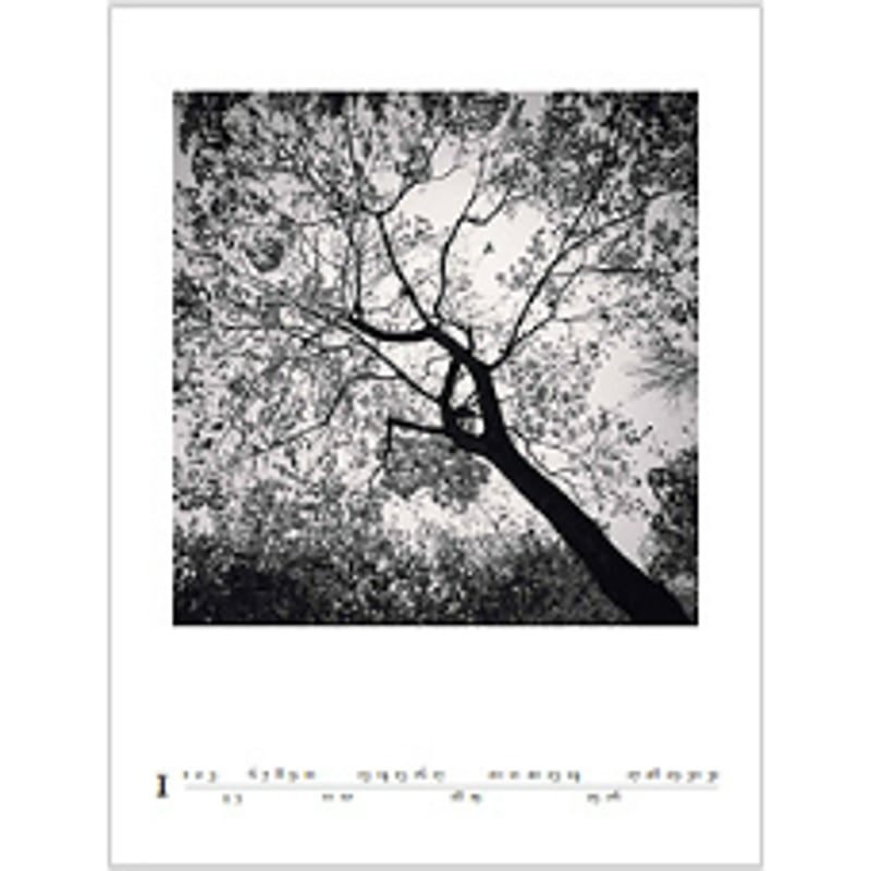 【サイン入り】ワンエン　カレンダー　2025 ONE N' ONLY OFFICIAL CALENDAR 2025 | SDP
