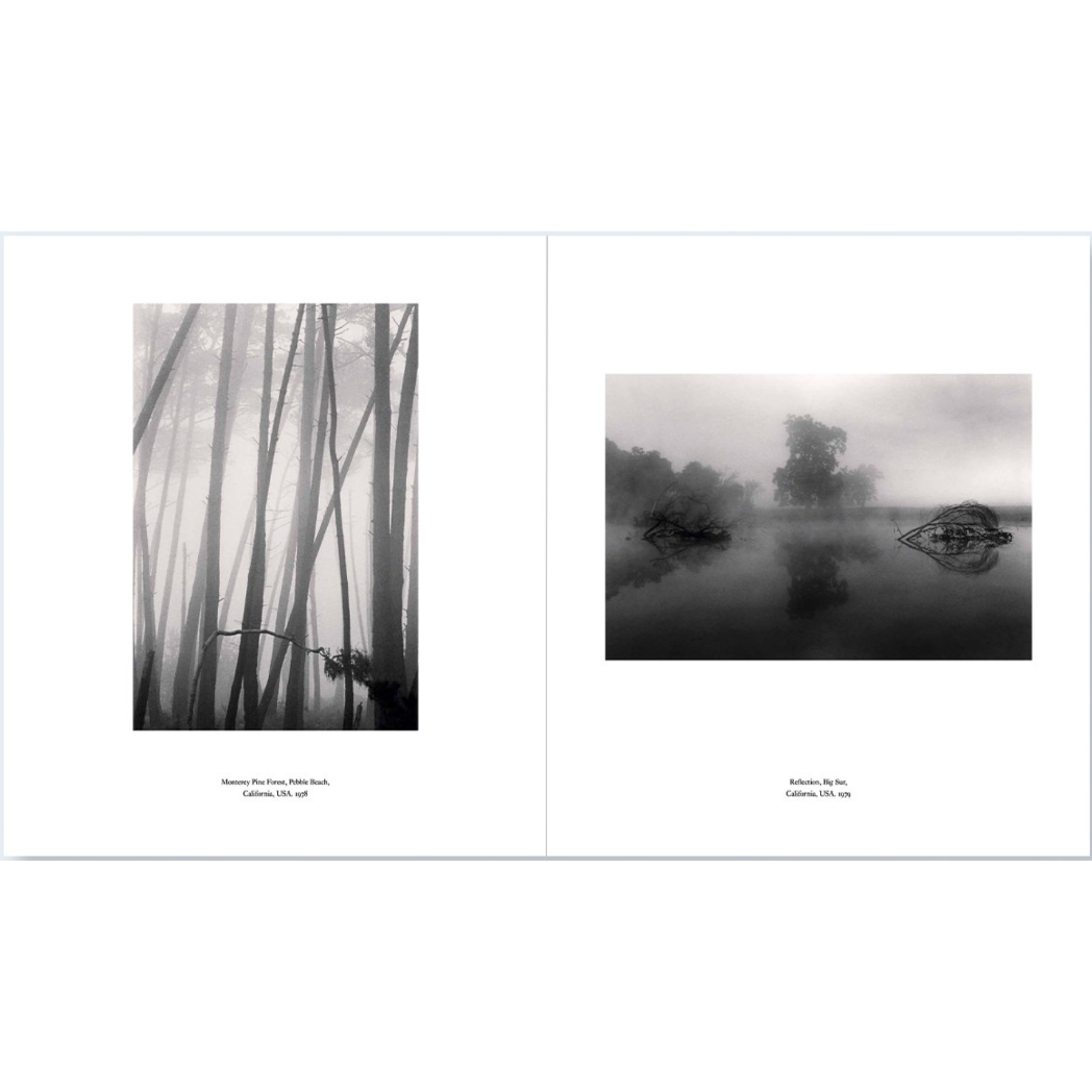 【希少】マイケル・ケンナ「IN FRANCE」 マイケル・ケンナ Michael Kenna / Le Notre's Gardens