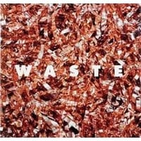 サイン入り　伊奈 英次『WASTE』