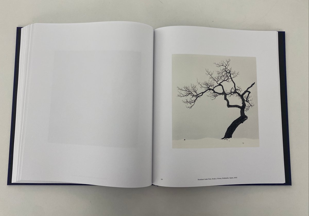 ケン・マイケルセン オータム・ウィングス サイン入り プリント 約70 x