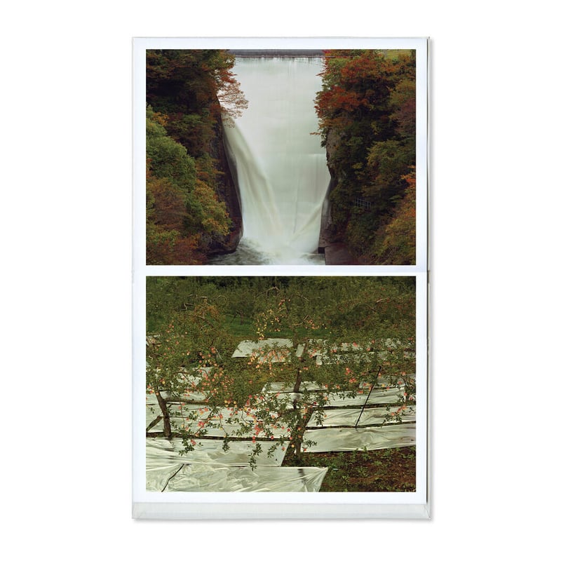 【美品】柴田敏雄 DAY FOR NIGHT 初版 サイン入り 美品】柴田敏雄 DAY FOR NIGHT 初版 サイン入り