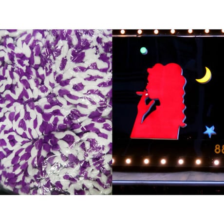 FLANGER SO　大竹彩子　Saiko Otake　限定100部 SAIKO OTAKE ＆ SHOKO OTAKE EXHIBITION「4 EYES 2 BRAINS