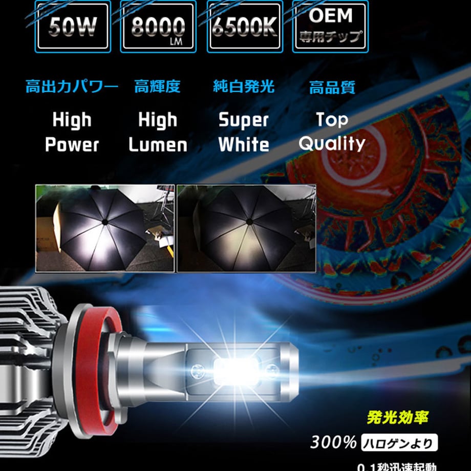 5cf8b8618d1e5246393404d5