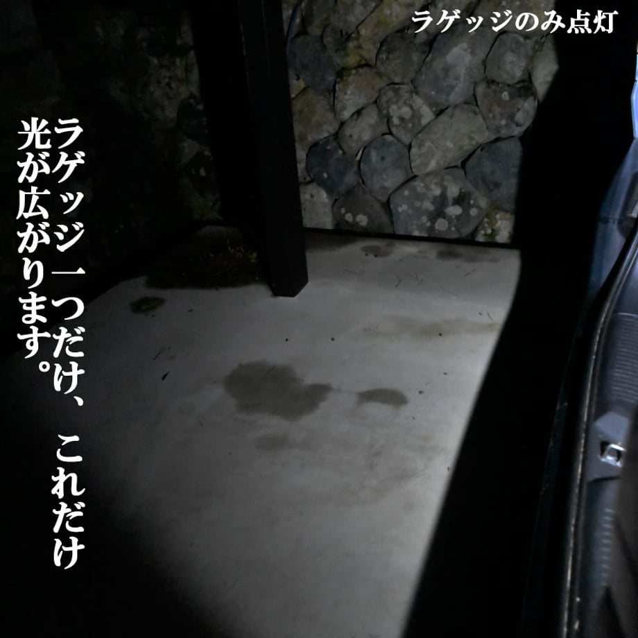 5cf8b8538d1e52463934045a