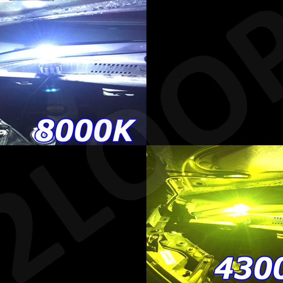 5cf8b3458d1e52463933f1df