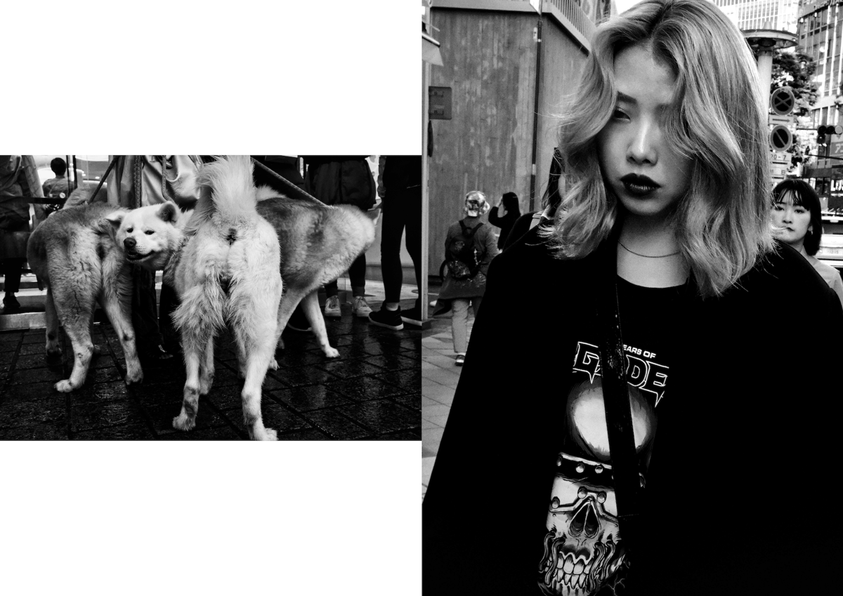 ZINE: TOKYO STREET VOL.1 | SHATARO's LAB