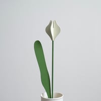 BLOOM BOX SUDACHIDOU